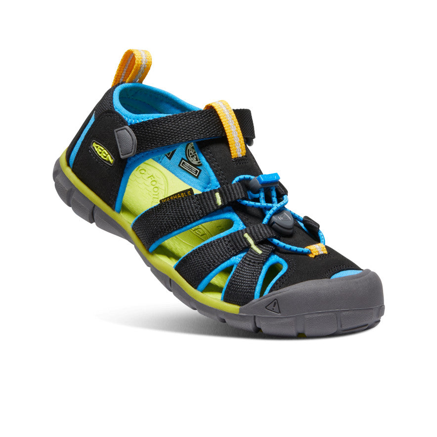 Big Kids' Seacamp II CNX | Black/Brilliant Blue - Image 3